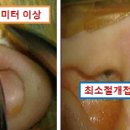 안남고 이미지
