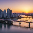 샘물압구정