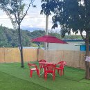 멍선생 애견카페 이미지