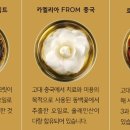 Life Body shop 이미지