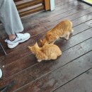 청소년 수련관 소공연장(2층) | l경주l 경주 여행 2일차 경주월드 놀이 기구 추천