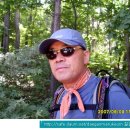 일송정 산장 | 청계산 산행후기