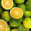 (주)플러그인티 이미지