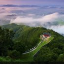 살아생전 이미지