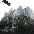 와우리 204-2 이미지