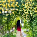 부산 근교 목향장미 카페 추천 데이트 명소 송학커피