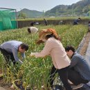 창선농장 이미지