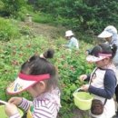 산속에아침 이미지