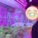 Y(와이)모텔 이미지