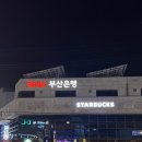 금정무 이미지
