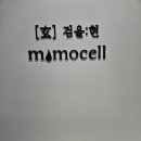 모모셀