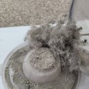 동춘 세탁 이미지