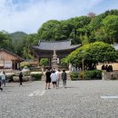 장안사손칼국수 이미지