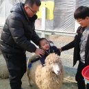 월드목장 이미지