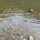 반곡유원지 이미지