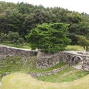 소나무와 호수 이미지