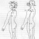 방약합편 기경부차 寄經部次 기경팔맥 이미지