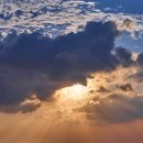 현대광학 이미지