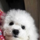 태산 우리동물병원 이미지