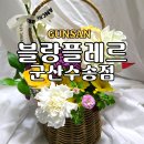군산시미룡작은도서관 | 군산꽃집 수송동 감각적인 꽃 선물 추천 블랑플레르 수송점 꽃다발 꽃바구니 화분