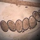 의정부24시IU동물병원 이미지