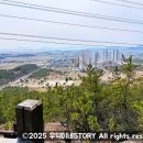 삼호고등학교 진입로 이미지