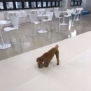 둥실둥실유치원 이미지