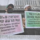 나라상사 Daum카페