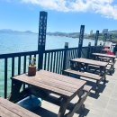 황금오징어 활어회센터2 이미지