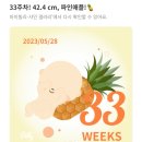 샤인게임장 이미지