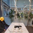 샤브향다산 네이버블로그