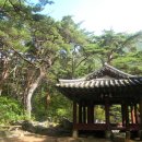 고운신발
