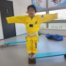 경희대 하늘 태권도장 이미지