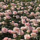 곡성군오곡면보건지소 | [곡성군 죽곡 보건지소] 곡성 풀코스😎😎