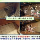 청소쟁이 이미지
