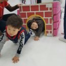 한국체대태권도스쿨