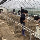 김동환농장 풋볼리스트