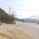 산호대로-80 이미지