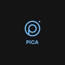 PICA PICA 이미지