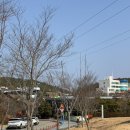 통영 여행 데이트코스 가볼만한곳 스카이라인루지 통영루지