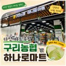 지평농협하나로마트 | 애호박 500원?! 😮다산 대형마트 장보기 여기로 정착 ✅️ 구리농협 하나로마트 내돈내산 후기