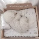 조아펫 | 강아지 쿨매트 추천 딸기 여름 필수템 (조아펫 듀라론 후기)