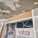 견생냥품24시무인펫샵인천주안