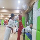 경희대성원태권도장 이미지