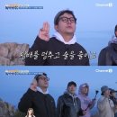 티브이투어