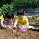 광탄농장 이미지