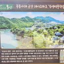 청주 청남대, 옥천 천상의정원 수생식물학습원, 구리 한강공원 유채꽃 축제 이미지