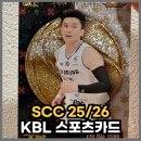 코리아세븐원주영진점 | KBL 오피셜 컬렉션 카드 25/26 SCC 스포츠카드 개봉 후기