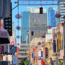 Higher LAB(하이어랩) | 멜버른 swan lab 라떼아트 원데이 클래스로 카페잡 연습