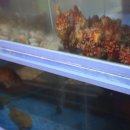 못잊어횟집 이미지